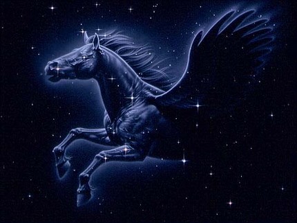 Constellation Pegasus1 Who Discovered Constellation Pegasus 