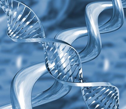 DNA