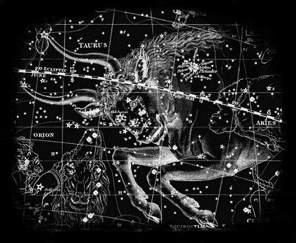 onstellation Taurus Who Discovered Constellation Taurus