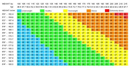 Who Invented Body Mass Index Who Invented Body Mass Index